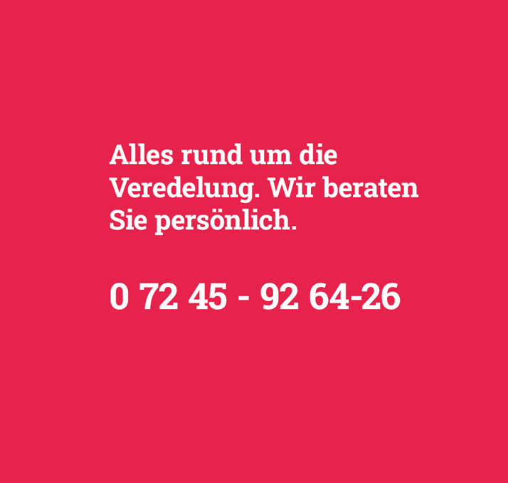 DD_Footer_Referenz_6